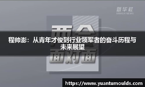 程帅澎：从青年才俊到行业领军者的奋斗历程与未来展望
